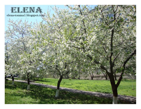 Ростов-на-Дону центр города