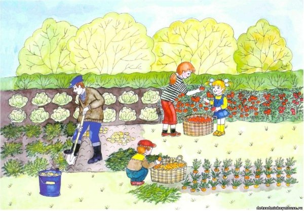 Огород рисунок