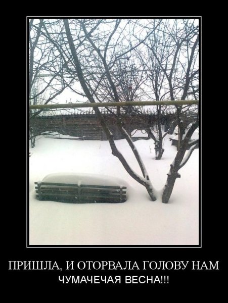 Джинсы нигеров