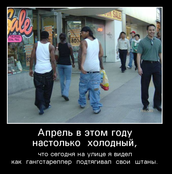 Пробная версия программы