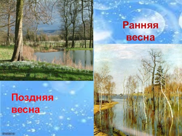 Ранняя Весна и поздняя Весна