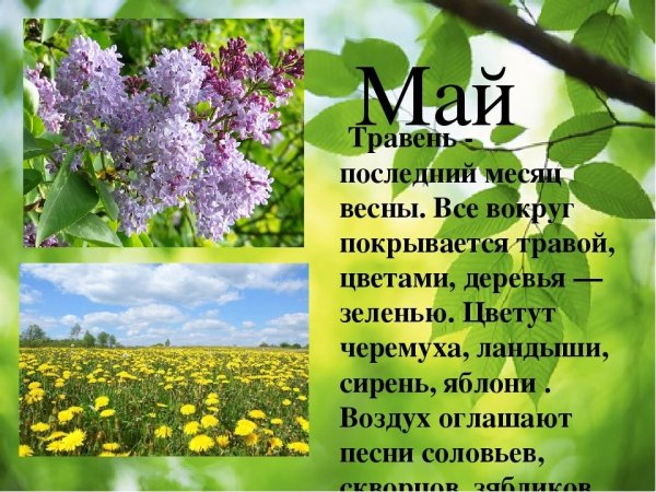 Весенние месяцы