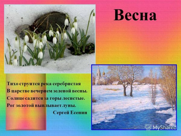Проект на тему Весна