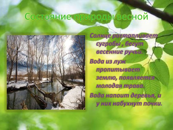 Состояние природы весной