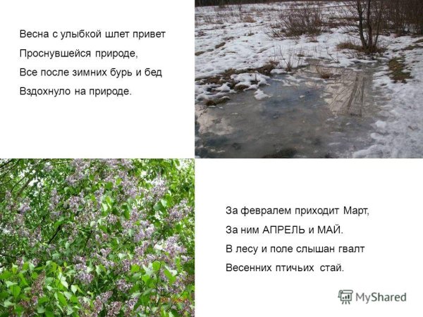 Весна природа просыпается стихи