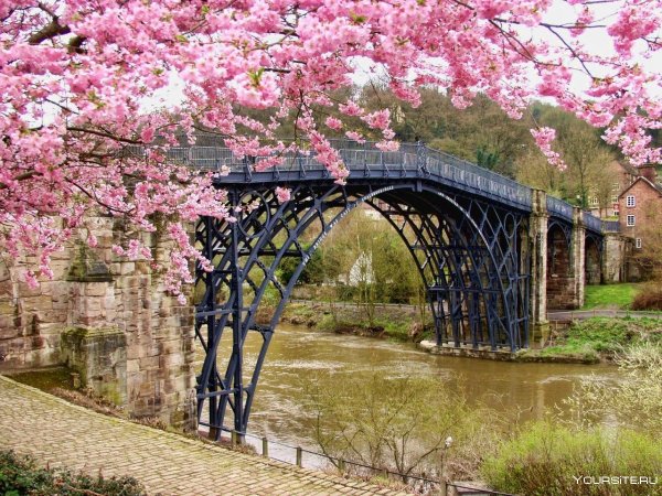 Ruyi Bridge мост Сакура