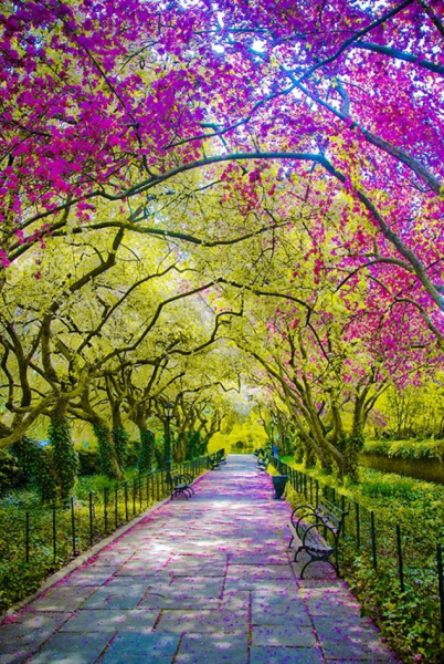 Весенний парк