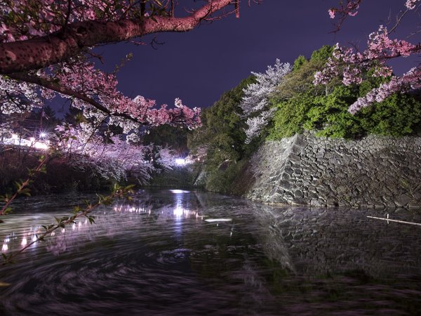 Весна капель