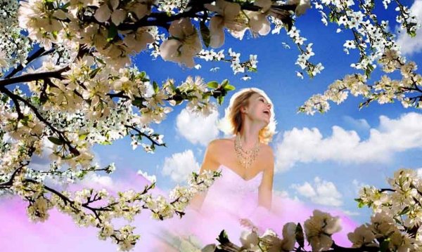 Весна пришла весне дорогу