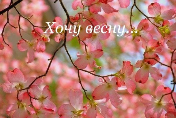 Приближение весны