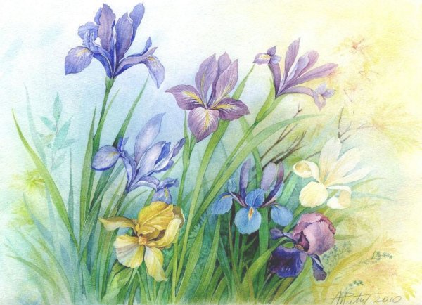 Anne Marie Patry-Belluteau акварели