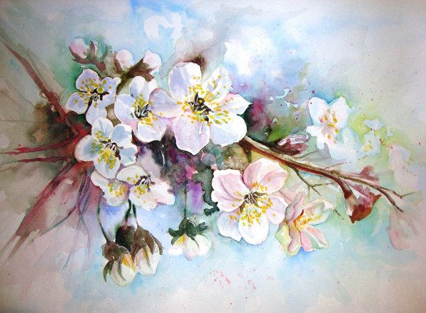 Цветы акварельными красками