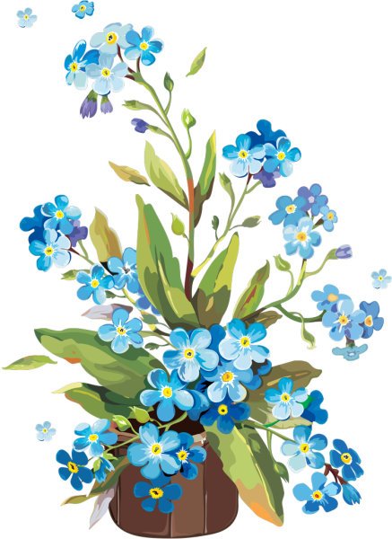 Незабудки Элла amurforum