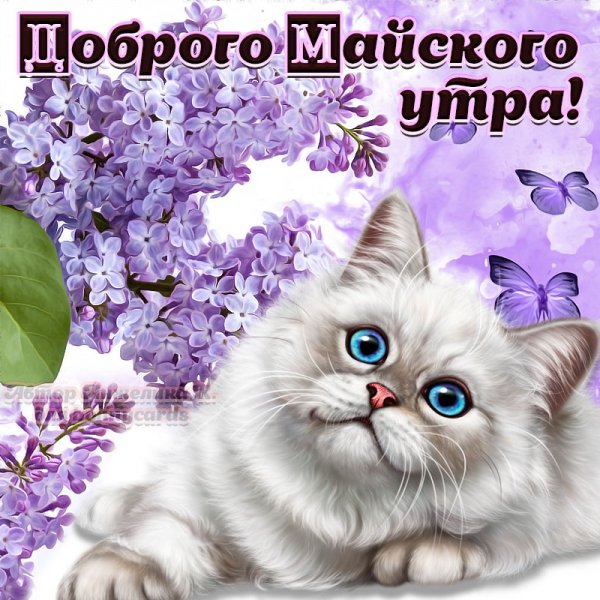 Доброе Майское утро