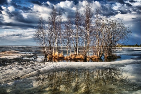 Сибирский пейзаж ранняя Весна