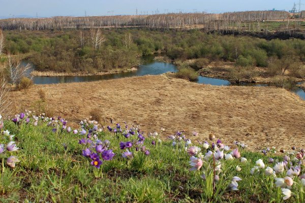 Весенняя природа Сибири