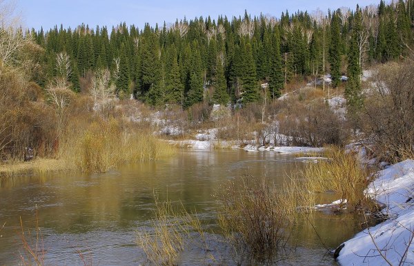 Таежные речки ХМАО