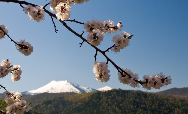 Весна в Хакасии