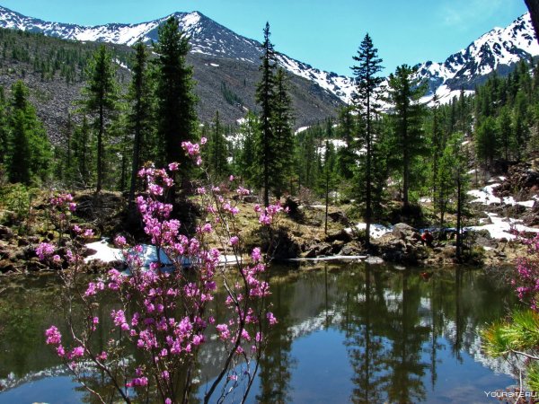 Саяны Хакасия горы природа