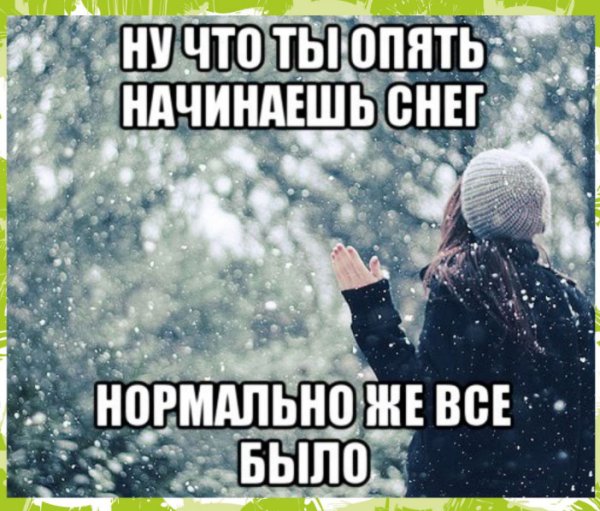 Цветы морозным утром