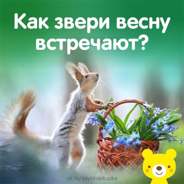 Как звери весну встречают