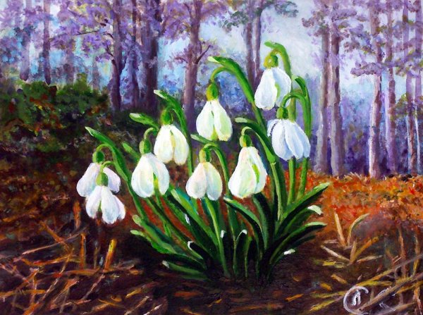 Первоцветы - подснежники, Ландыши?