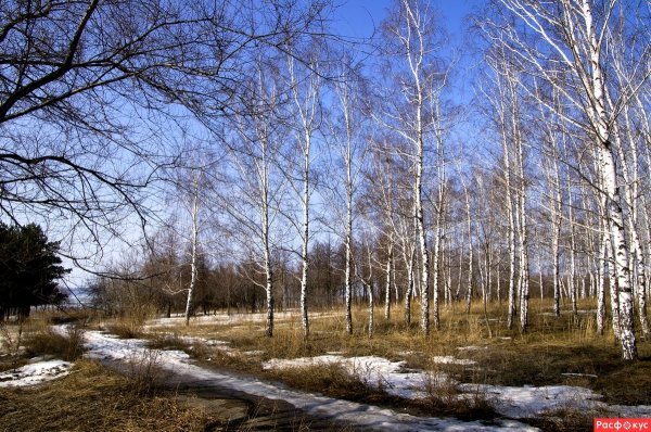 Ранняя Весна в России