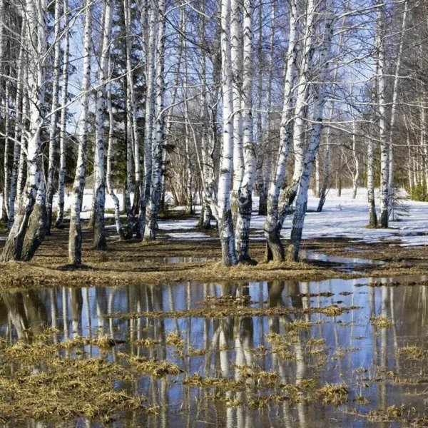 Ранняя Весна