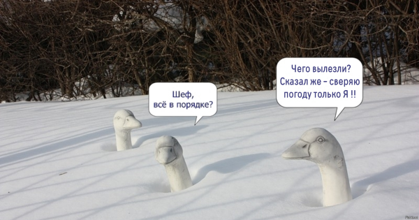 Высказывания про снег весной