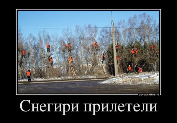 Приколы про зиму и весну