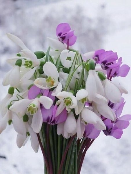 Прекрасного воскресного дня Весна