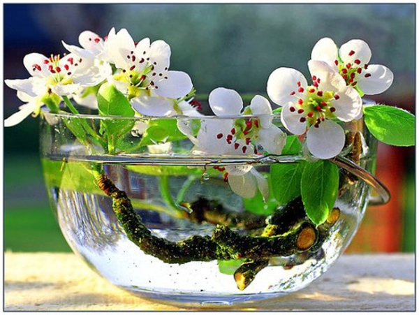 Весны в душе и счастья