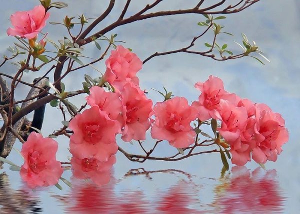 Открытка ждем весну