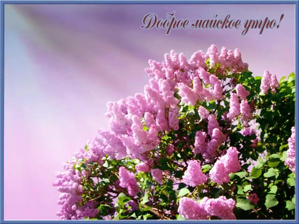 Весна животные