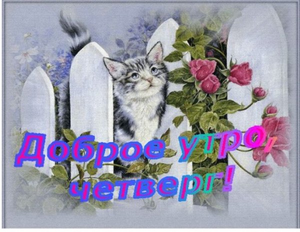 Открытки с четвергом