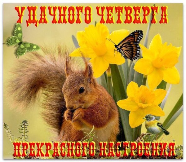 Хорошего четверга и отличного настроения