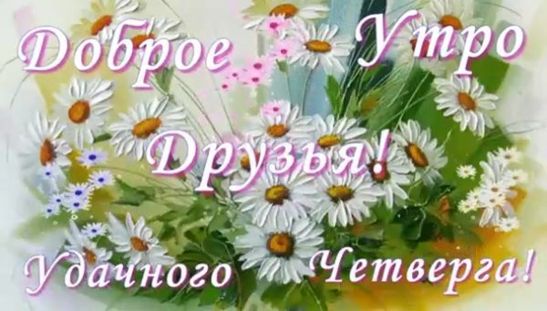 Доброе летнее утро четверга