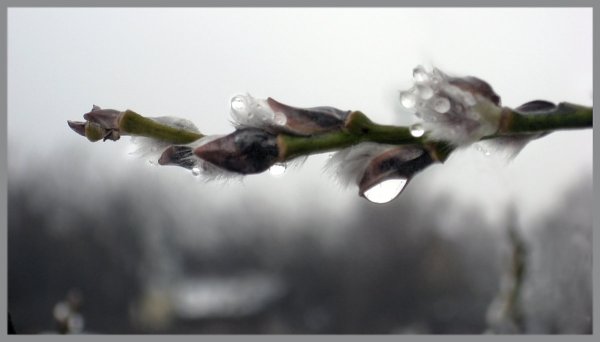 Природа плачет Весна