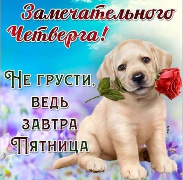 Поздравления ЧС чктвергом