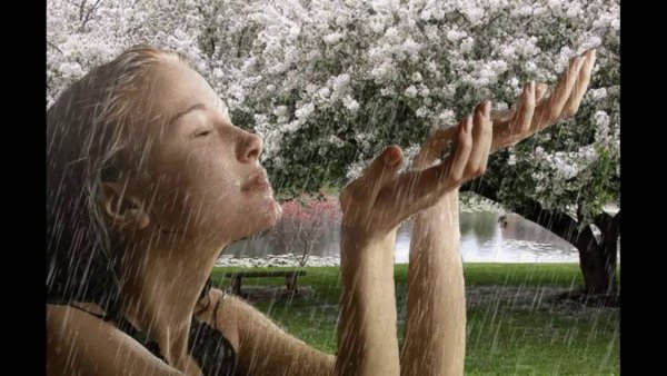 Теплый дождь