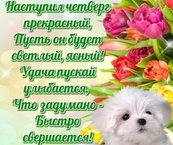 Поздравления с четвергом прикольные