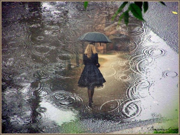 Дождливый день