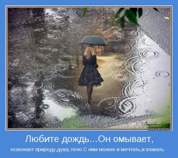 Любимый дождь