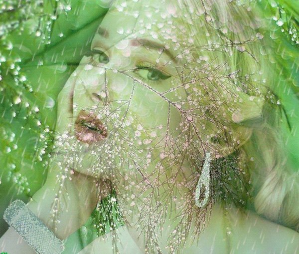 Под весенним дождём.