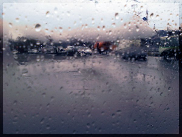 Весенний плач плакал