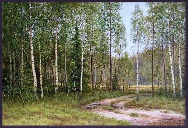 Березовая роща опушка