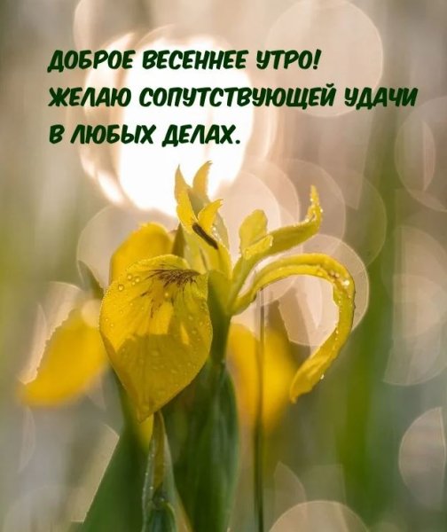 С добрым бодрым утром