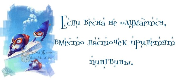 Весна заблудилась цитаты прикольные