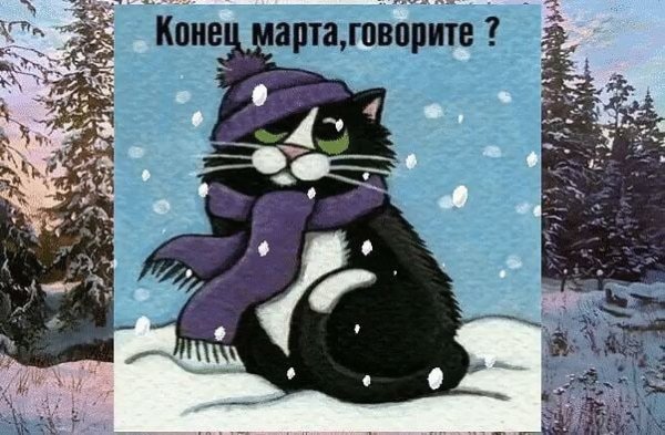 Весна заблудилась смешные