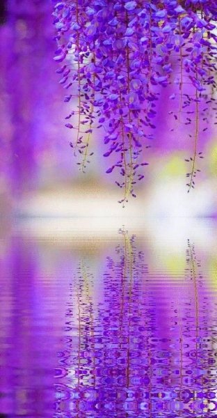 Природа весной вертикальные